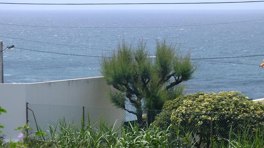Santa Cruz Ocean Apartment - II Dış mekan fotoğraf